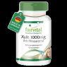 XILITOL 1000 MG CON AROMA A MENTA 100 COMPR