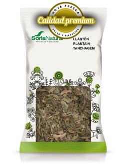 LLANTEN HOJAS  PLANTA 40 GRS.