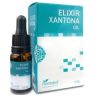 SUPER XANTONA OIL 10ML PLANTAPOL