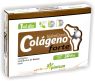 Colágeno Hidrolizado Forte 30 Cápsulas Pinisan