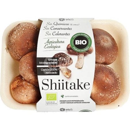 SHITAKE BANDEJA ECOLOGICA