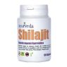 AYURVEDA-SHILAJIT 60 CAPS