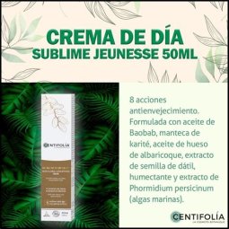 CUIDADO GLOBAL EXCEPCIONAL DIA CENTIFOLIA