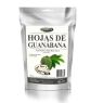HOJA DE GUANABANA TRITURADA