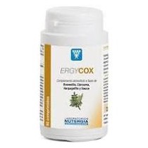 ERGYCOX 90 comprimidos