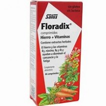 Floradix 90 comprimidos