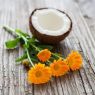 ADN ARN FORMAS ACEITE DE COCO Y CALENDULA