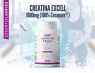 CREATINE EXCELL 10 HSN CREAPURE