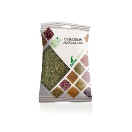 DESMODIUM ASCENDENS  PLANTAS SORIA NATURAL