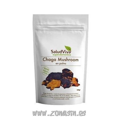 CHAGA MUSHROOM POLVO 100 G SALUD VIVA