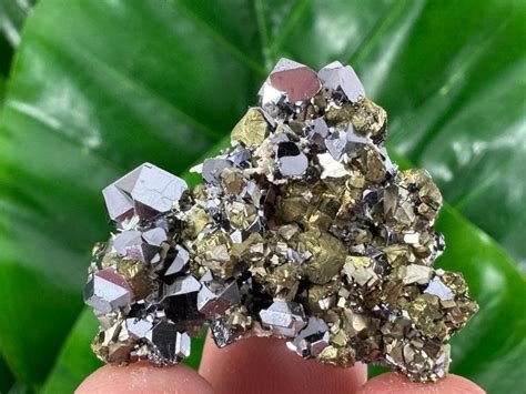 GALENA CON PIRITA PIEDRA