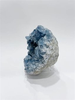 CELESTINA DRUSA