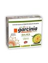GARCINIA COMPLEX PINISAN 60 CAPSULAS
