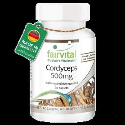 CORDYCEPS 500MG 90 CAPSULAS FAIRVITAL