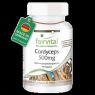 CORDYCEPS 500MG 90 CAPSULAS FAIRVITAL