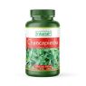 CHANCAPIEDRAS 100 CAPSULAS INKANAT