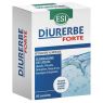 DIURERBE FORTE  40 TABLETAS ESI