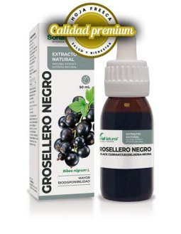 EXTRACTO DE GROSELLERO NEGRO 50 ML SORIA NATURAL