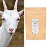 LECHE DE CABRA ENTERA EN POLVO 100 GR CAMASSIA