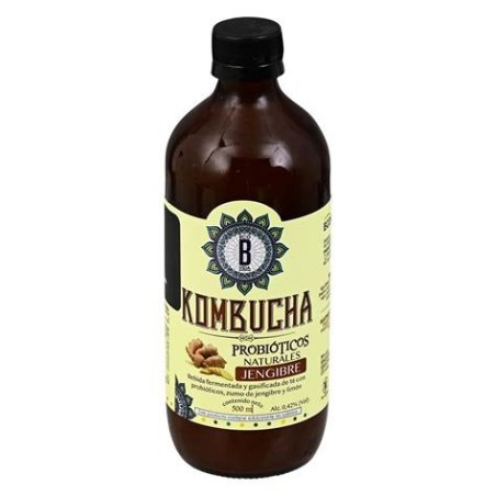 KOMBUCHA GINGERVIDA 1 LITRO