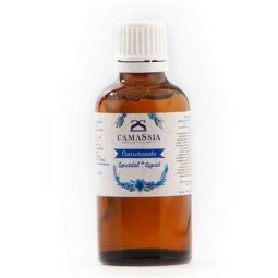 EXTRACTO DE SAUCE 10 ML CAMASSIA