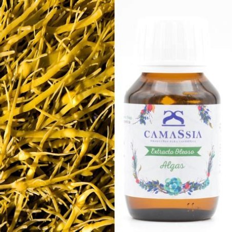 ACEITE DE ALGAS 50 ML CAMASSIA