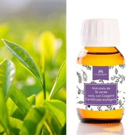 HIDROLATO DE TE VERDE 100 ML CAMASSIA