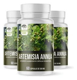 ARTEMISA ANNUA CON FERRITINA 100 CAPSULAS 500MG