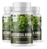 ARTEMISA ANNUA CON FERRITINA 100 CAPSULAS 500MG