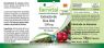 EXTRACTO DE UVA URSI GAYUBA FAIRVITAL 90 CAPSULAS