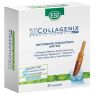 COLLAGENIX AMPOLLAS 30