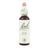 BACH 11 ELM (OLMO) 20 ML