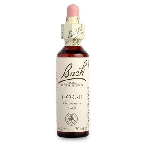 BACH 13 GORSE (AULAGA) 20 ML