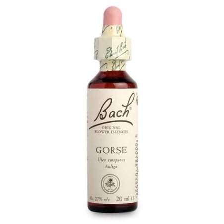 BACH 13 GORSE (AULAGA) 20 ML