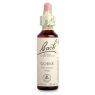BACH 13 GORSE (AULAGA) 20 ML