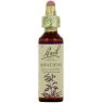 BACH 18 IMPATIENS 20 ML