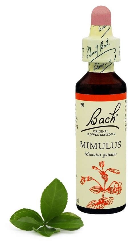 BACH (20) MIMULUS 20 ML