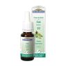 BACH 22 OAK (ROBLE) 20 ML