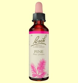 BACH 24 PINE (PINO SILVESTRE) 20 ML