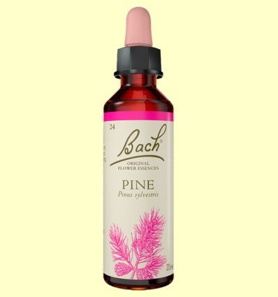 BACH 24 PINE (PINO SILVESTRE) 20 ML