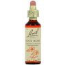 BACH 26 ROCK ROSE 20 ML
