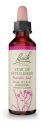 FLOR BACH STAR OF BETHLEHEM 20 ML BACH ORIGINAL