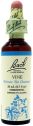 BACH 32 VINE (VID) 20 ML