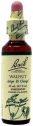 BACH (33) WALNUT NOGAL 20 ML